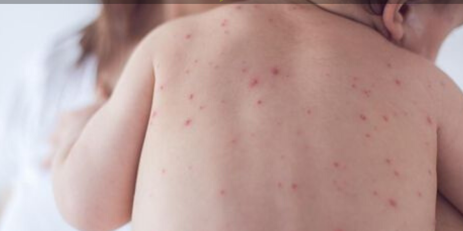 75247317_2618555641547662_8443240928897925120_n