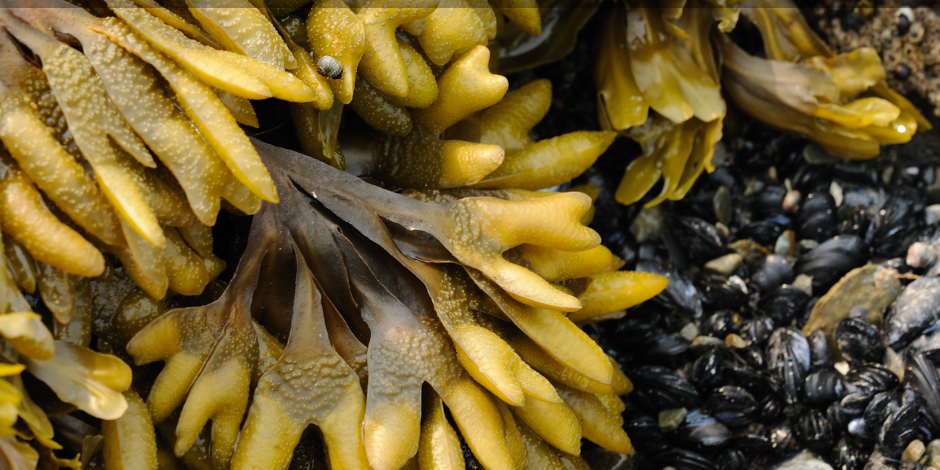 FP-SEPT21lesaviezvous&actu (3)