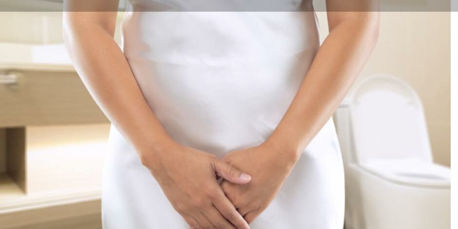 310126925_528118162650008_5979261885392798254_n