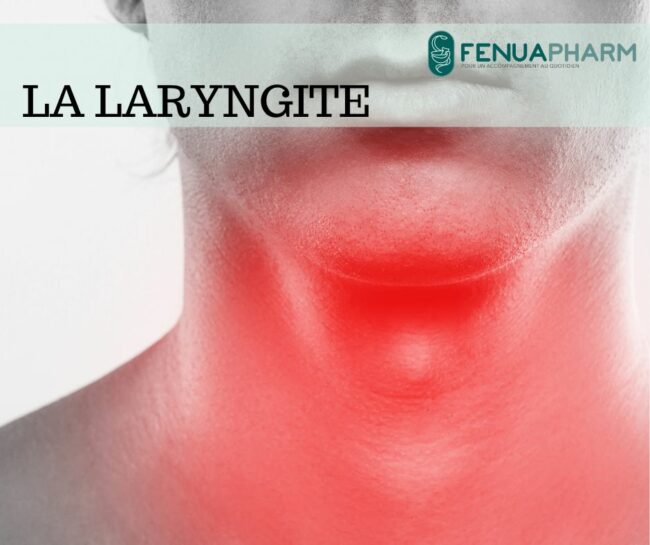 495086117_1236369525158198_8793081333731960029_n